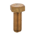 ΜΠΟΥΛΟΝΙ ΜΠΡΟΥΝΤΖΙΝΟ ΜΠΟΥΤΟΝ